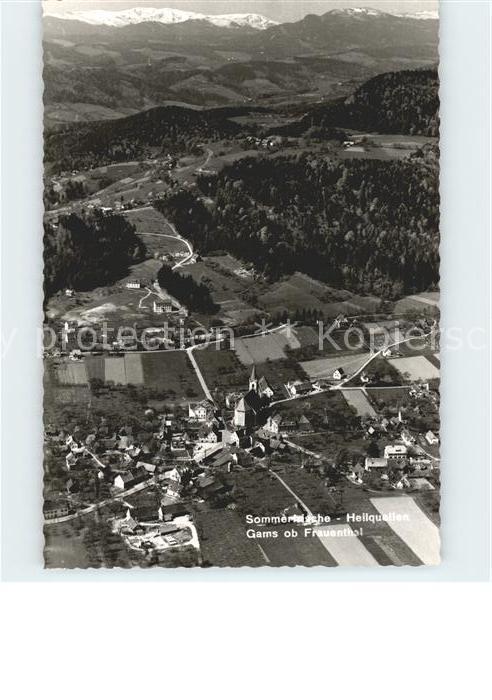 Gams Hieflau Fliegeraufnahme