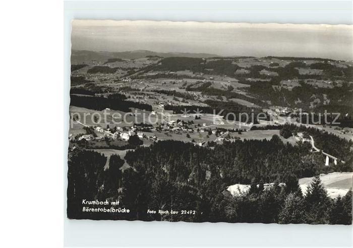 Krumbach Vorarlberg Panorama mit Baerentobelbruecke