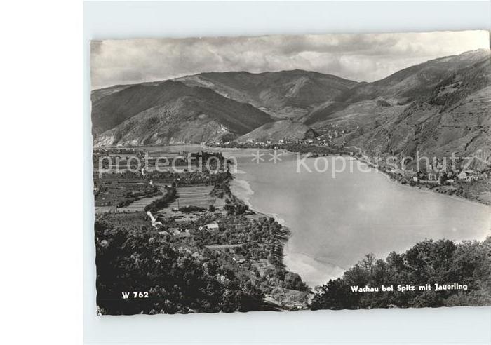 Wachau Oesterreich mit Jauerling