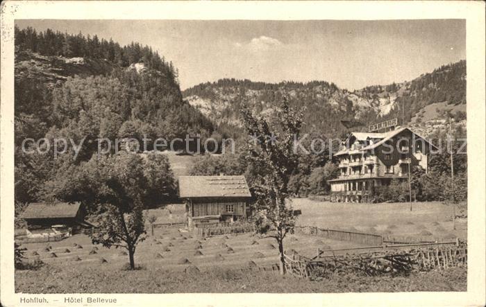 Hohfluh Bruenig BE Hotel Bellevue