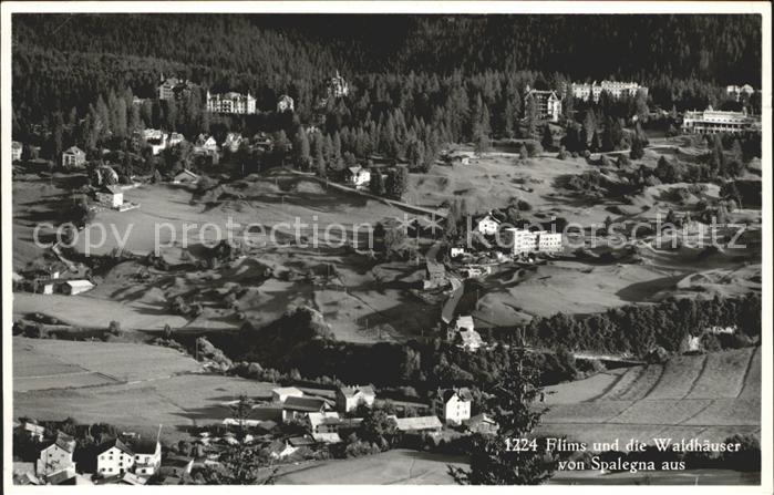 Flims GR und die Waldhaeuser von Spalegna aus