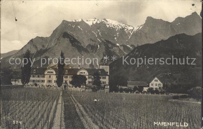 Maienfeld Schloss Alpen