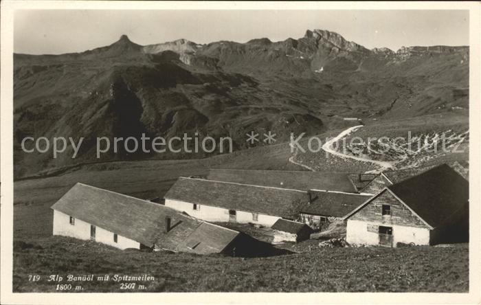 Flums SG Alp Banueoel mit Spitzmeilen Glarner Alpen
