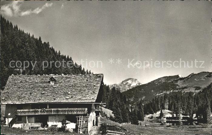 Morgins Col de Morgins au fond les Cornettes de Bise