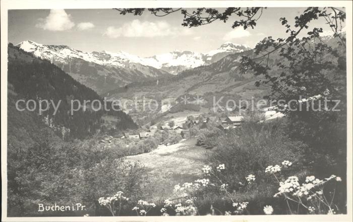 Buchen Praettigau Panorama Alpenflora Gebirge