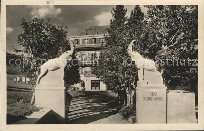 Samedan Chesa Dr Ruppanner