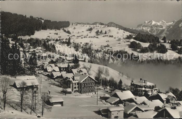Waldegg Beatenberg Spirenwald Nebelmeer Alpen