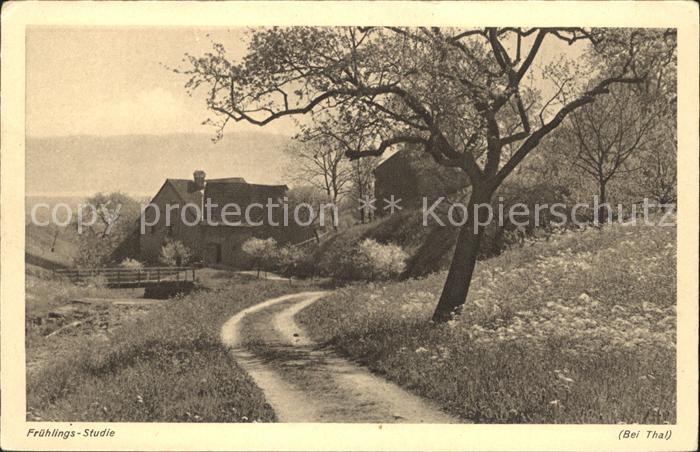 Thal Rorschach Fruehlingsstudie