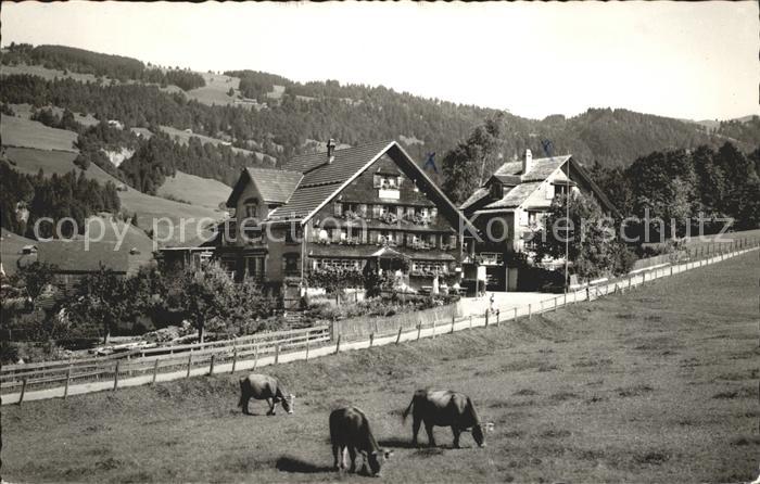 Lutenwil Toechterbund Ferienheim Heimetli Viehweide Kuehe