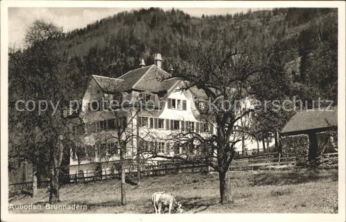 Brunnadern SG Ferienheim Auboden Kuh