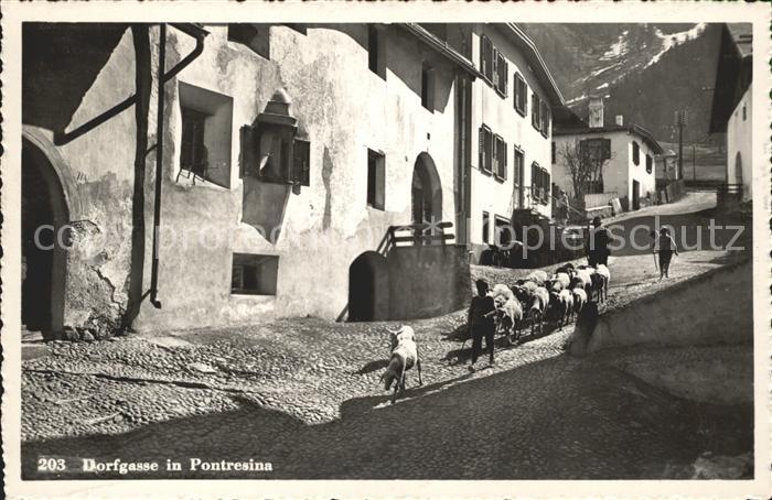 Pontresina Dorfgasse Schafe