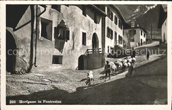 Pontresina Dorfgasse Schafe