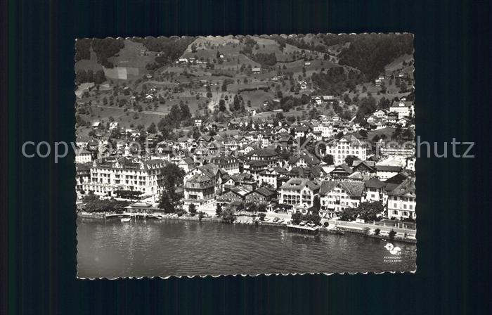 Gersau Vierwaldstaettersee Vierwaldstaettersee Fliegeraufnahme