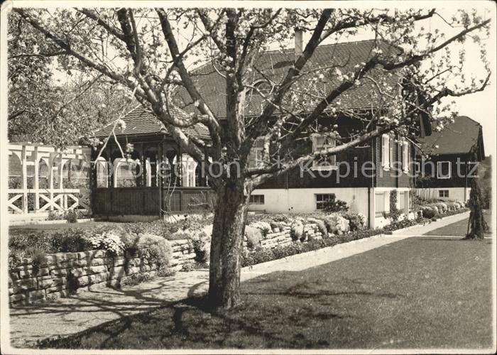 Romanshorn TG Baumbluete