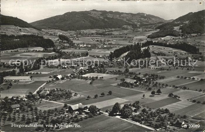 Oppligen Fliegeraufnahme