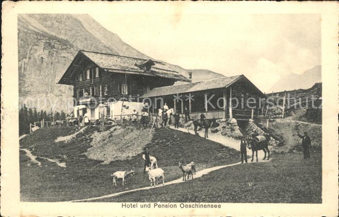 Oeschinensee Hotel Pension Pferde Ziegen