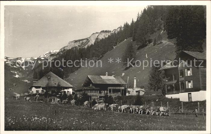 Lenk Simmental Ifigenalp