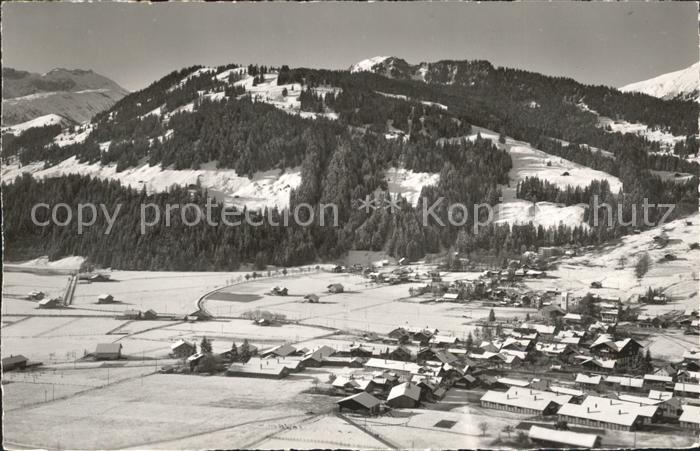 Lenk Simmental mit Muelkerplatte