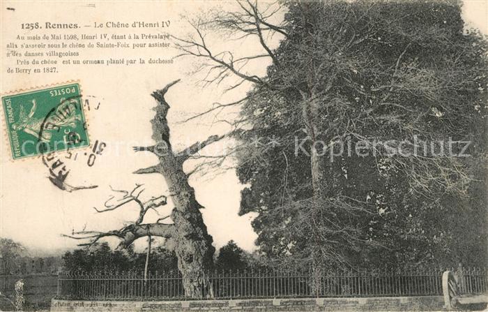 Rennes Ille-et-Vilaine Chêne d_Henri IV
