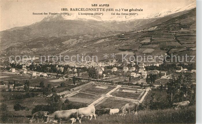 Barcelonnette Vue Generale et les Alpes
