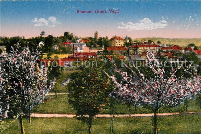 Blamont Meurthe-et-Moselle Gesamtansicht Baumbluete