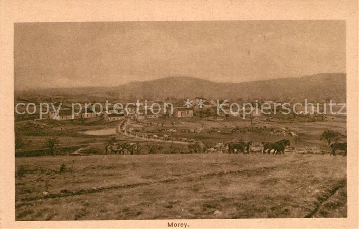 Morey Panorama