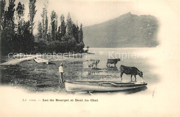 Aix-les-Bains Lac du Bourget et Dent du Chat