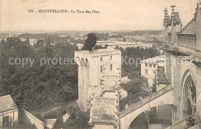 Montpellier Herault La Tour des Pins