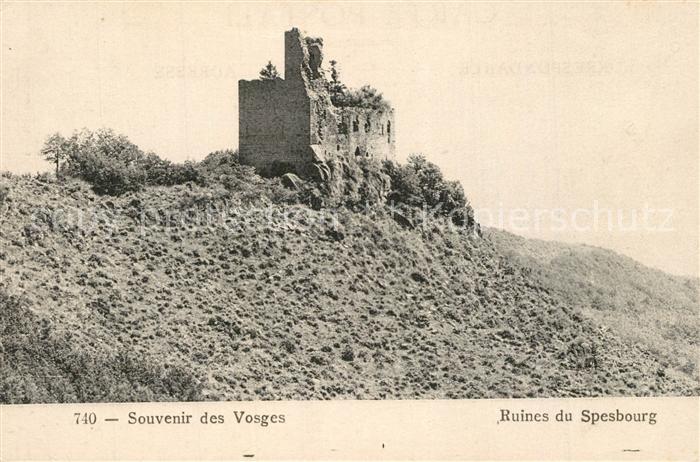 Vosges Vogesen Region Ruines du Spesbourg