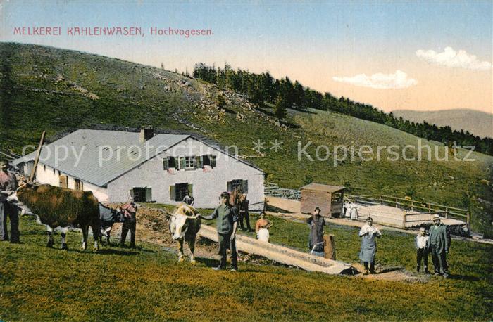 Kahlenwasen Melkerei Hochvogesen
