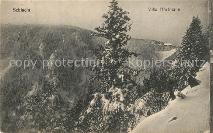 Schlucht La Villa Hartmann