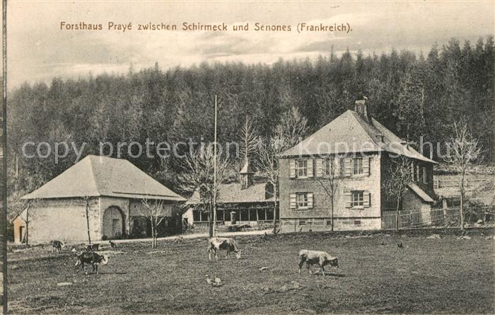 Praye Forsthaus zwischen Schirmeck und Senones K?he