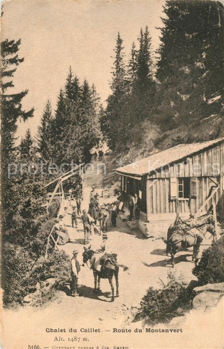 Montanvert Chalet du Caillet Pferd