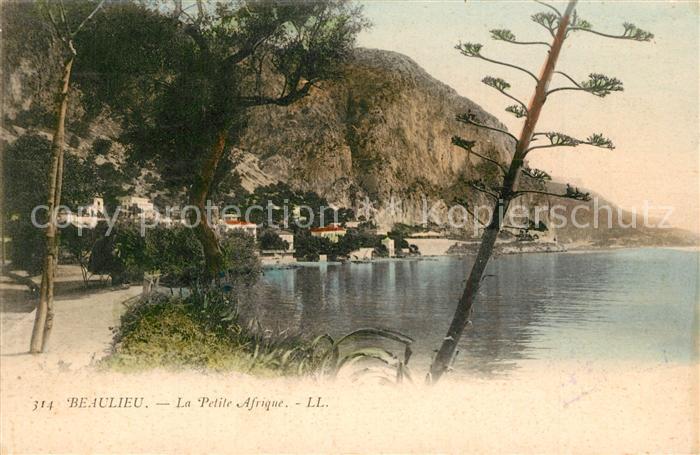 Beaulieu-sur-Mer 06 La Petite Afrique