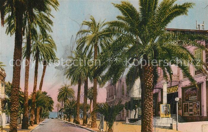 Hyeres les Palmiers Avenue de Belgique Mairie