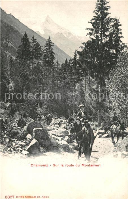 Chamonix Sur la route du Montanvert