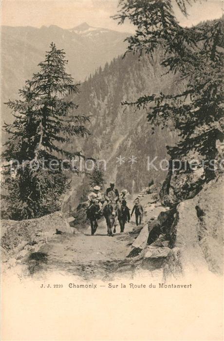 Chamonix Sur la Route du Montanvert