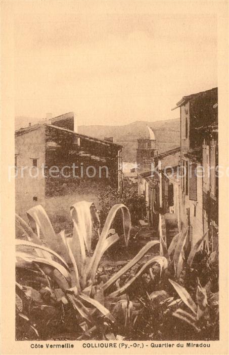 Collioure Cote Vemeille Quartier du Miradou