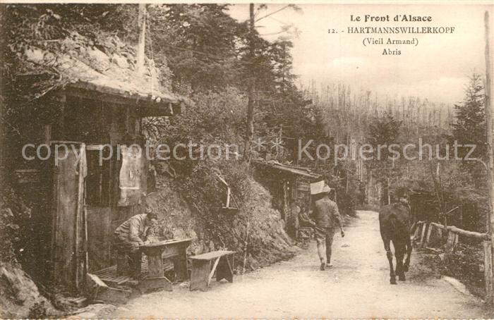 Hartmannswillerkopf Le Front d`Alsace Vieil Armand Abris