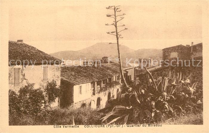 Collioure Quartier du Miradou