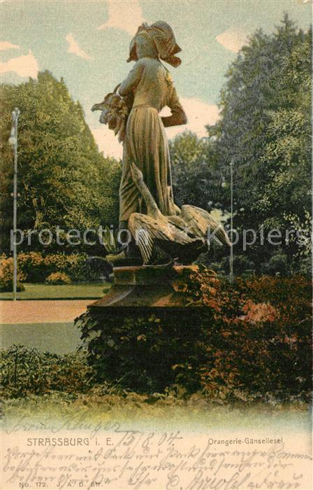 Strasbourg Alsace Orangerie G?nseliesel