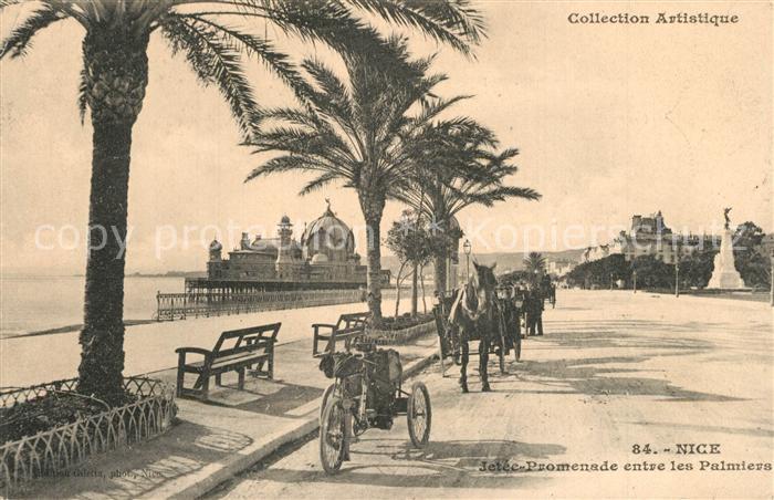 Nice Alpes Maritimes Promenade entre les Plamiers