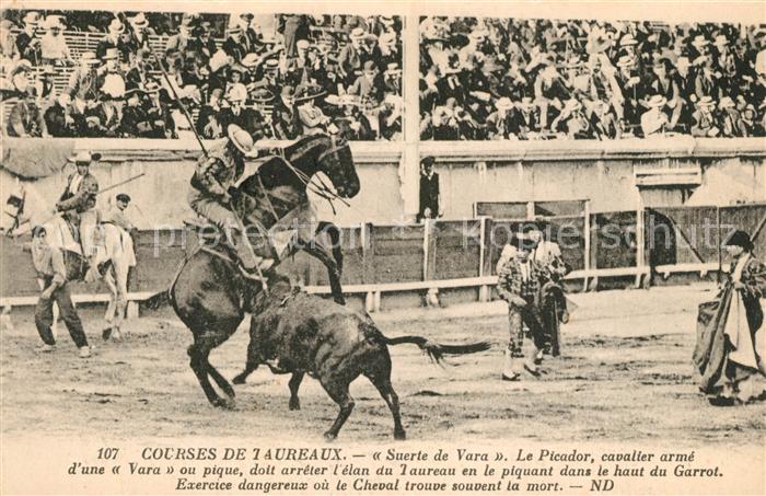 Camargue Course de Taureaux Stierk?mpfe