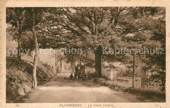 Plombieres-les-Bains Vosges Le Gros Chene