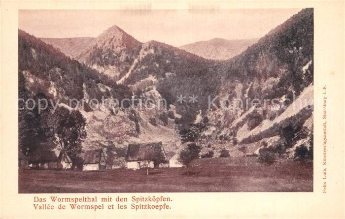 Hoheneck Elsass Wormspelthal Spitzkoepfe