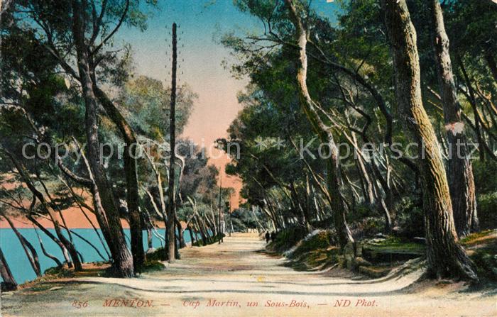 Menton Alpes Maritimes Cap Martin Sous Bois