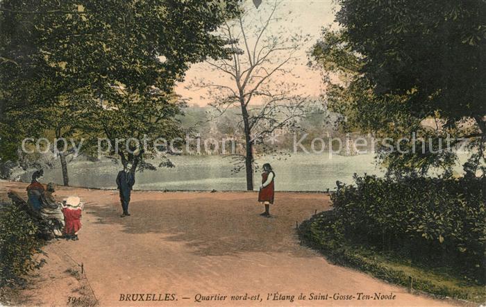 Bruxelles Bruessel Quartier nord est Etang de Saint Gosse Ten Noode