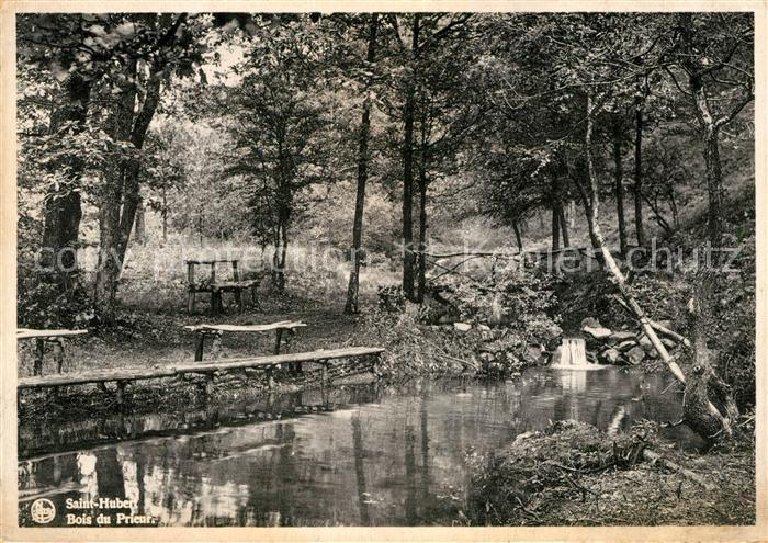 Belgien Saint Hubert Bois du Prieur