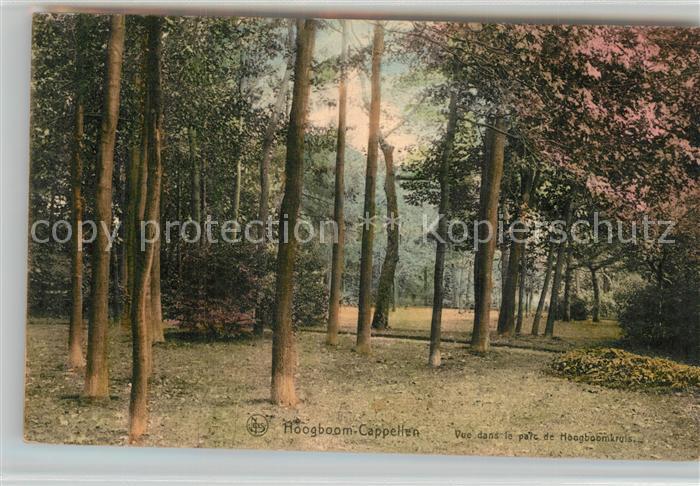 Hoogboom Vue dans le par de Hoogboomkruis