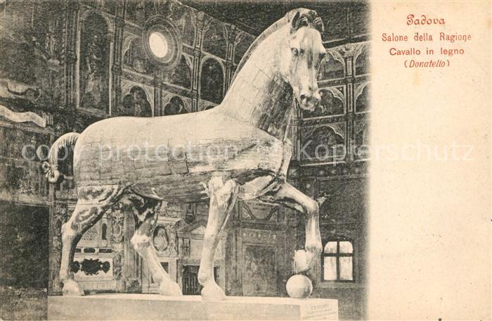Padova Salone della Ragione Cavallo in legno